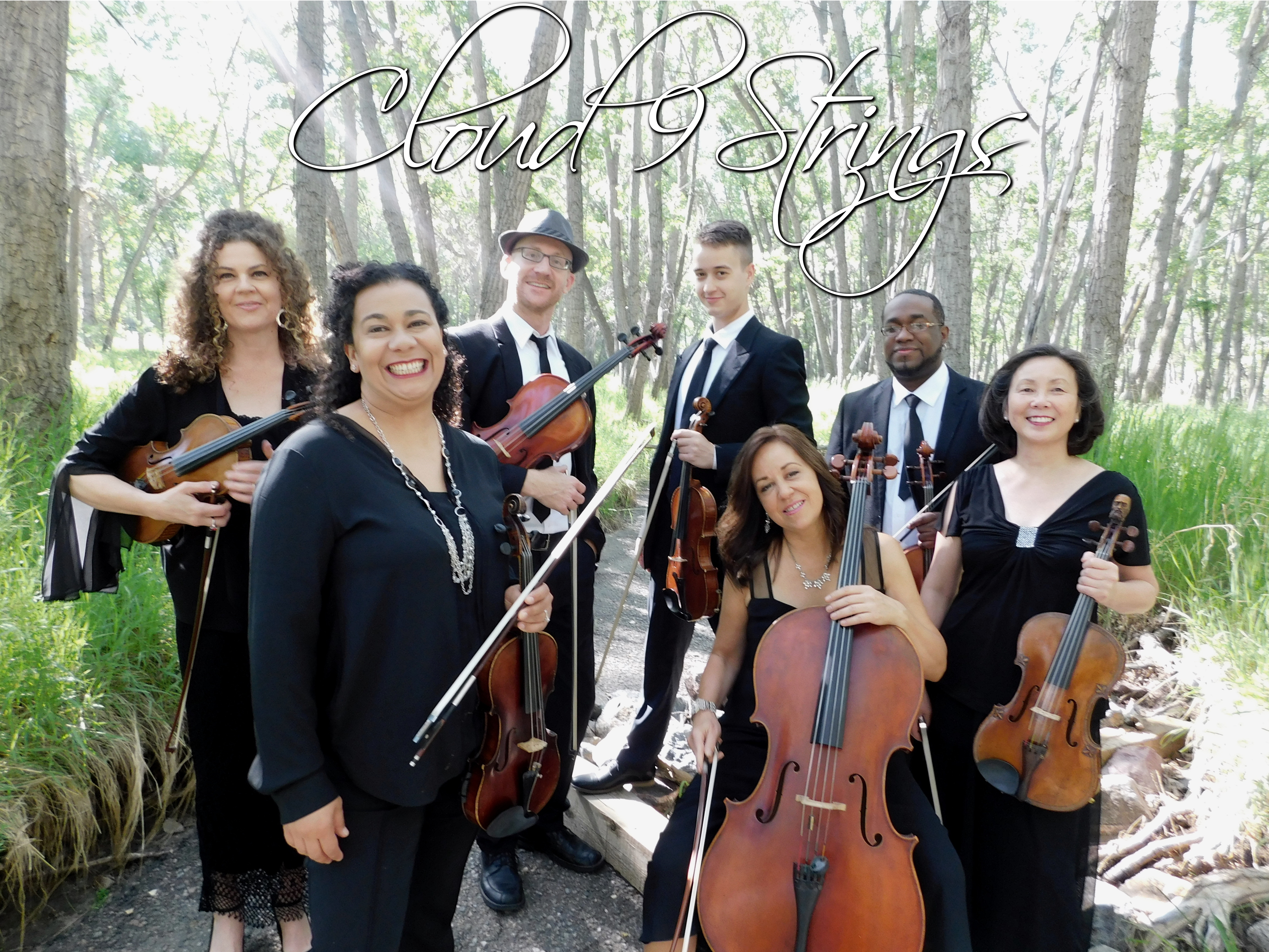 Cloud 9 Strings Denver Colorado